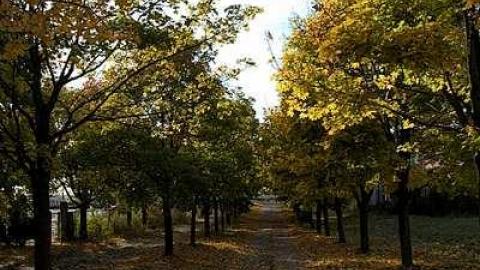 Nostalgia - Cullen-Gardens237.jpg