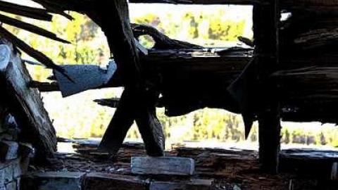 Photo from Halloween 2016