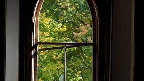 Halloween 2016 - The-Prettiest-Street271.jpg