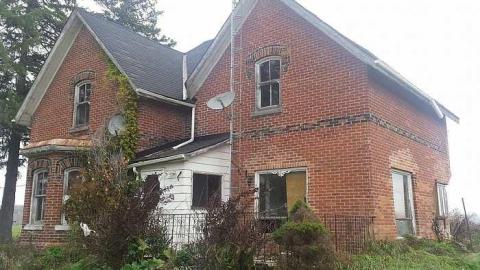 Springwater Gem - 20161029_143044.jpg