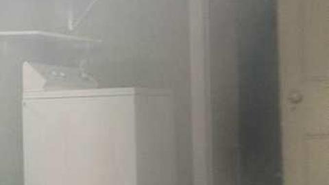 Springwater Gem - 20161029_143140.jpg