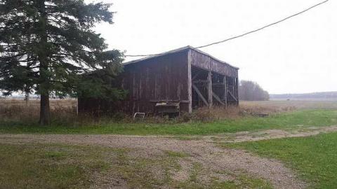 Springwater Gem - 20161029_143154.jpg