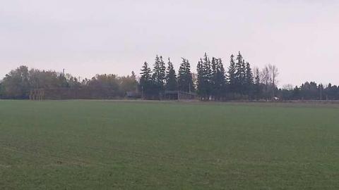 Springwater Gem - 20161029_143333.jpg