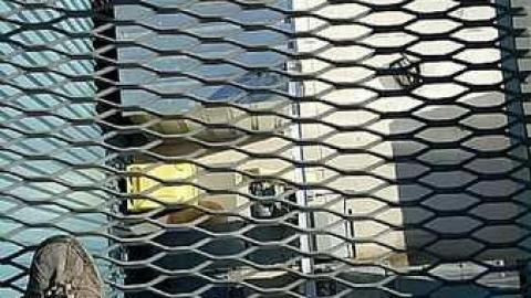 Photo from Perspective Shots