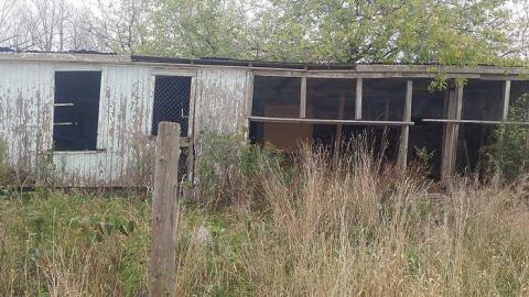 Photo from October 2016