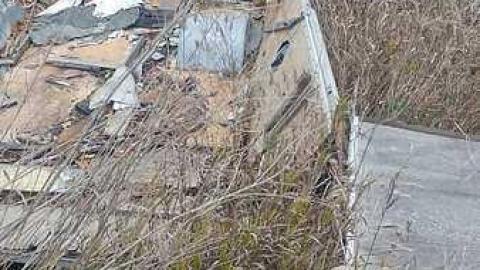 Photo from October 2016