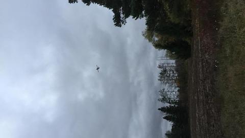 Old truck and boarded up - gqimage.jpeg