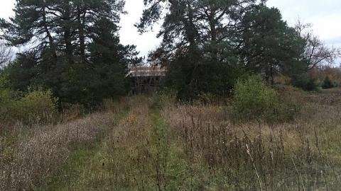 Old truck and boarded up - pgimage.jpeg
