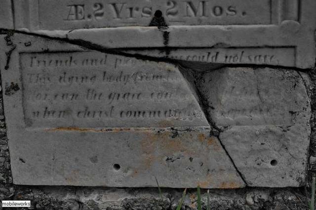 Largie Pioneer Cemetery photo 3