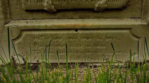 The Winter Of Trouble Is Past - Largie-Pioneer-Cemetery23.jpg