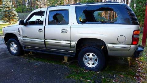 November Rain - Abandoned-Grow-Op-Mansion--Drug-Dealers-Mansion--King-City463.jpg