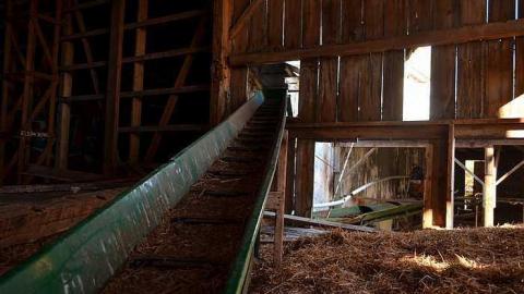 Ashburn Farm - DSC_0081.jpg