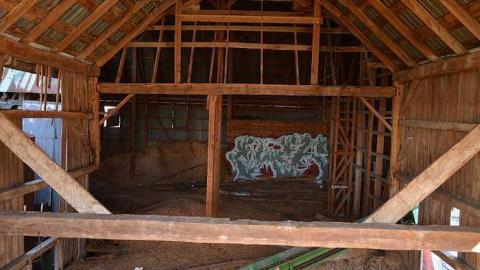 Ashburn Farm - DSC_0082.jpg