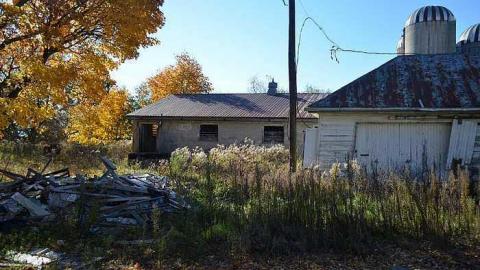 Ashburn Farm - DSC_0098.jpg