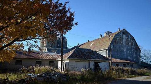 Ashburn Farm - DSC_0099.jpg