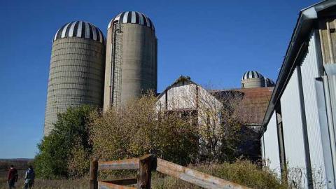 Ashburn Farm - DSC_0100.jpg