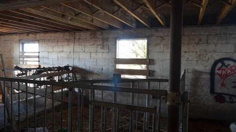 Ashburn Farm - DSC_0118.jpg