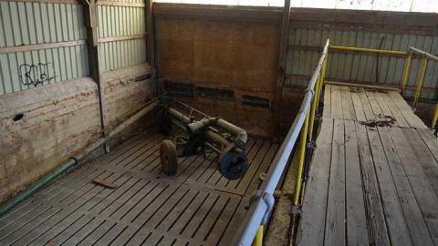 Ashburn Farm - DSC_0121.jpg