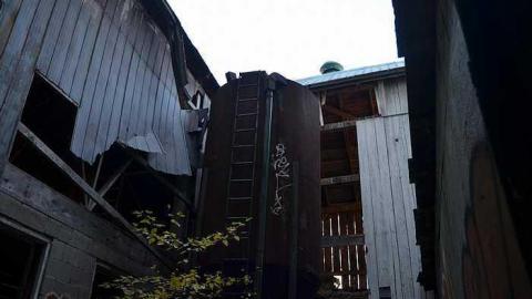 Ashburn Farm - DSC_0109.jpg