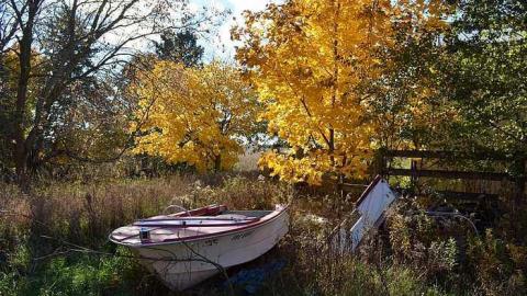 Ashburn Farm - DSC_0123.jpg