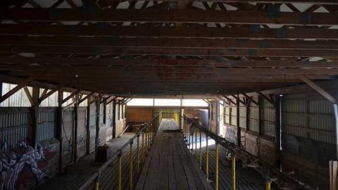 Ashburn Farm - DSC_0071.jpg