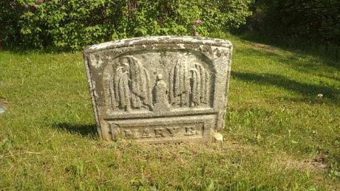 Gone To His Eternal House - Canborough-pioneer-Cemetery3.jpg