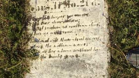 Canborough pioneer Cemetery photo 3