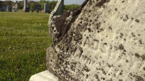 Canborough pioneer Cemetery photo 5