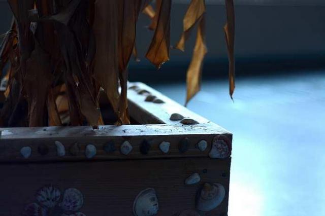 Saint Anthony Daniel School photo 5