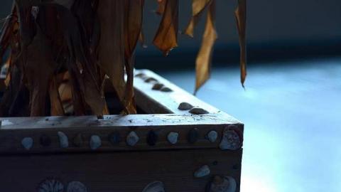 Saint Anthony Daniel School photo 5