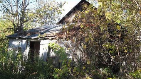 Thanksgiving 2016 - Long-Island-in-Manotick122.jpg