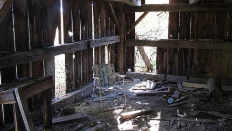 Photo from Thanksgiving 2016