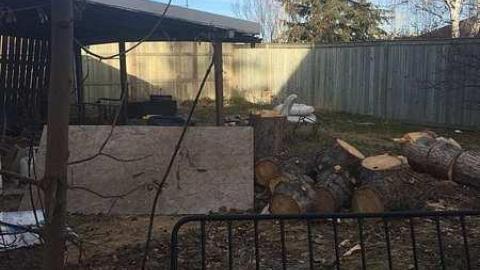 Photo from November 2016