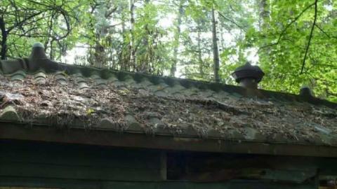 north side - The-Other-Side57.jpg