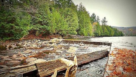 Nov. 2016 by EchoesMike84 - DSC_0841.jpg