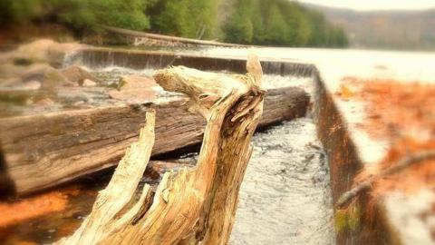 Nov. 2016 by EchoesMike84 - DSC_0842.jpg