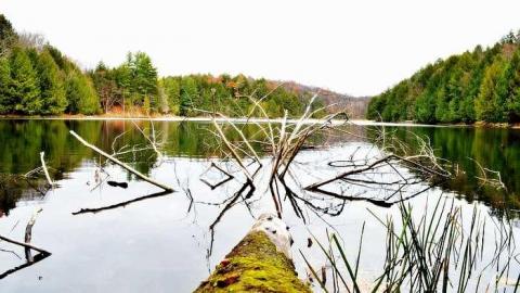 Photo from Nov. 2016 by EchoesMike84