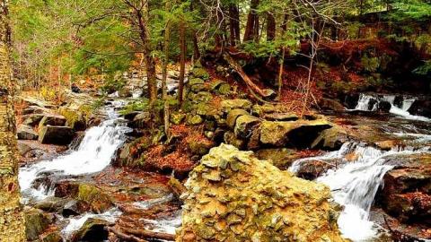 Photo from Nov. 2016 by EchoesMike84