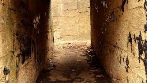 Nov. 2016 by EchoesMike84 - DSC_0880.jpg