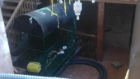 Parkway Inn - w-received_352055908519685.jpeg