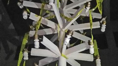 Parkway Inn - z-received_352056258519650.jpeg