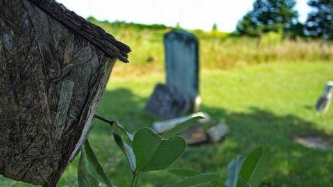 Photo from Back Unblack