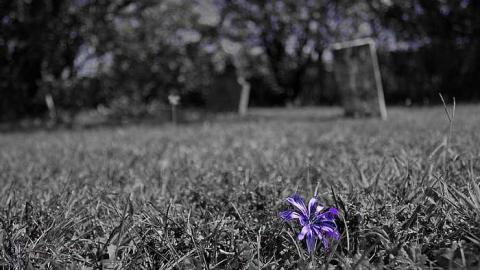 Back Unblack - Dickie-Settlement-Cemetery16.jpg