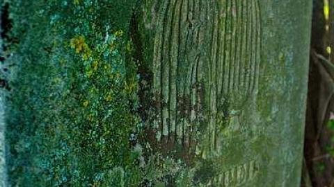 Back Unblack - Dickie-Settlement-Cemetery20.jpg