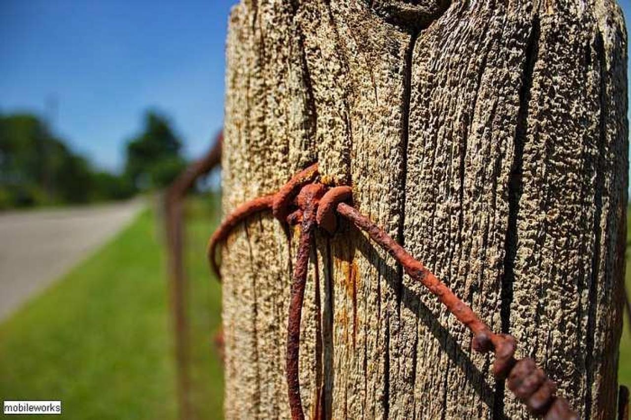 Back Unblack - Dickie-Settlement-Cemetery23.jpg