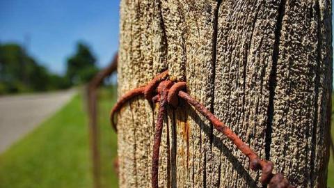 Back Unblack - Dickie-Settlement-Cemetery23.jpg