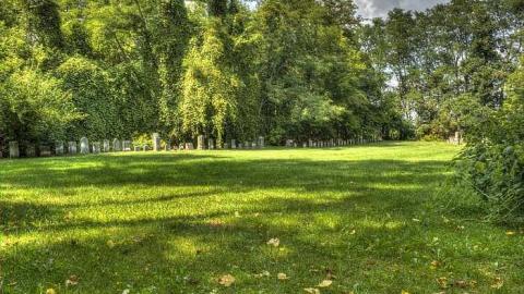 Easy To Nith - Canning-pioneer-Cemetery1.jpg