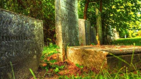 Easy To Nith - Canning-pioneer-Cemetery34.jpg