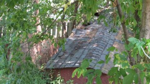 shack shots - IMG_1198.jpg
