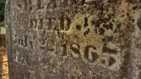 Easy To Nith - Canning-pioneer-Cemetery19.jpg